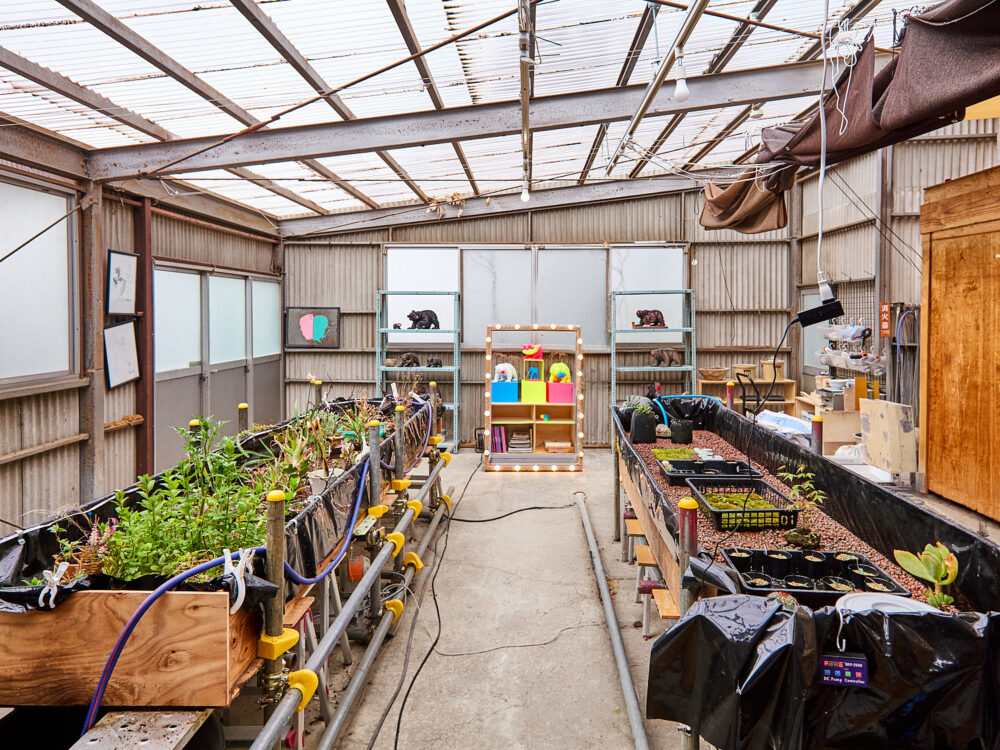 LMM（Local Micro Mart）