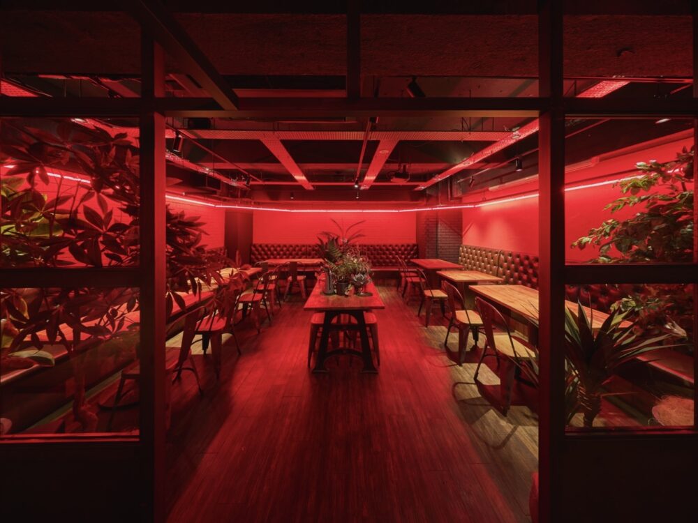 VINYL HOUSE 六本木植物園
